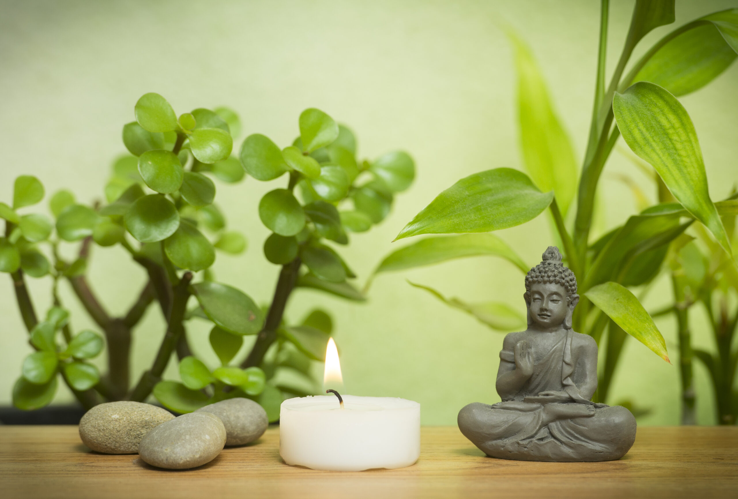 Eleganter Beratungsraum für psychologische Beratung und Coaching in München