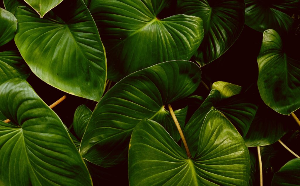 Lichtdurchfluteter Beratungsraum für psychologische Beratung und Coaching